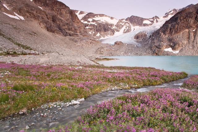 Wedgemount Lake Trail