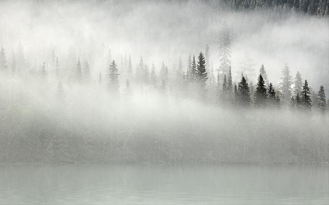 Berg Lake Trail