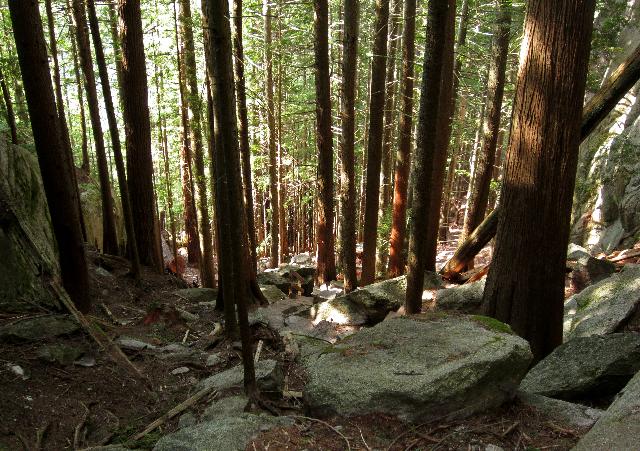 Stawamus Chief Trail