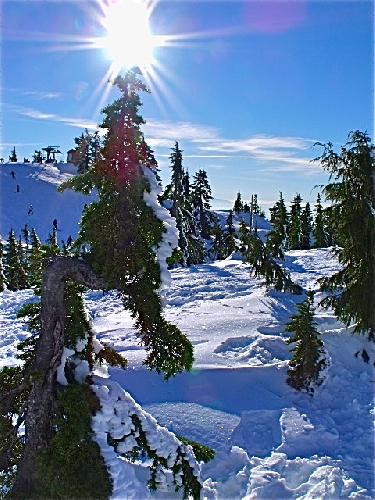 Mt Seymour