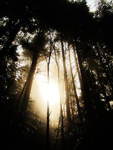 Holland Creek Trail