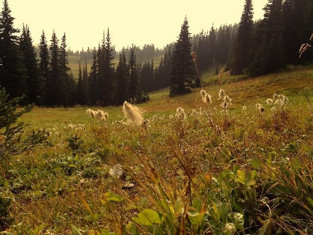 Panorama Ridge
