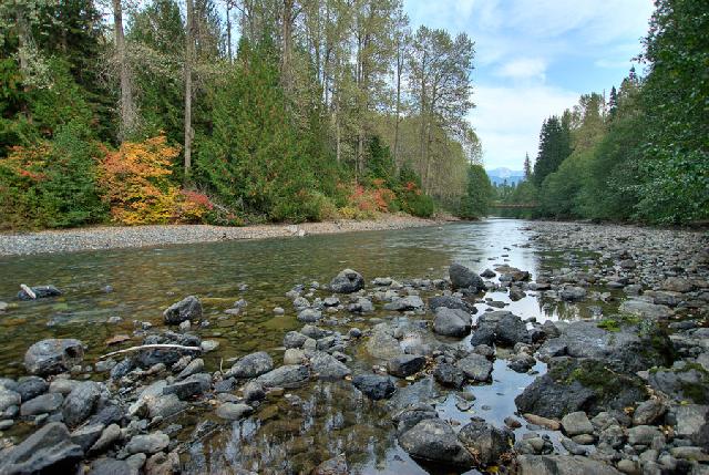 Skagit River Trail