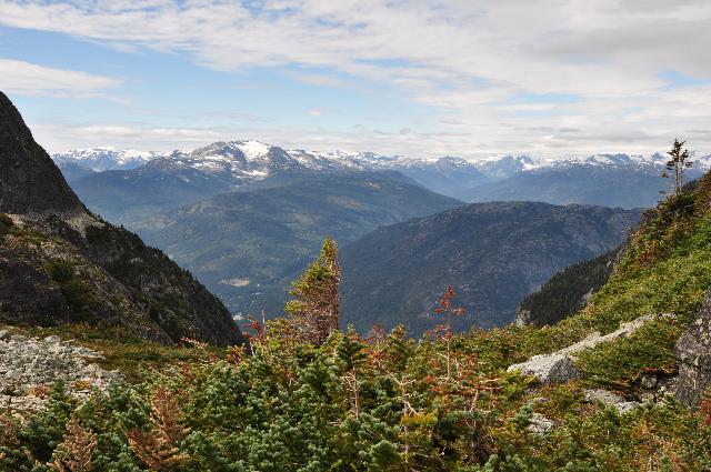 Wedgemount Lake Trail