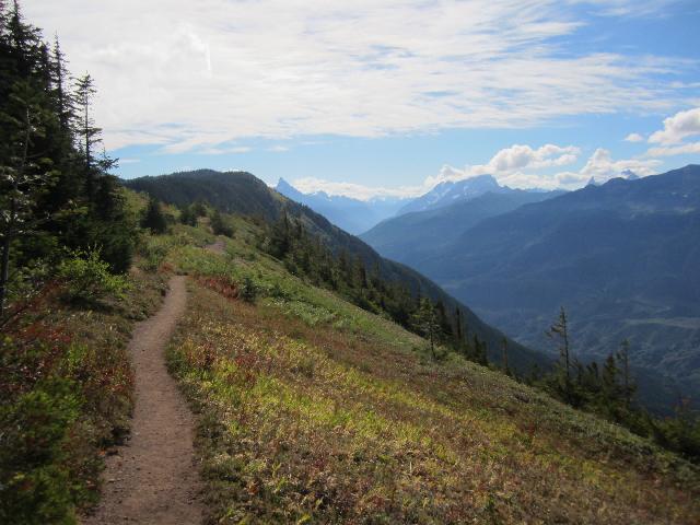 Elk-Thurston