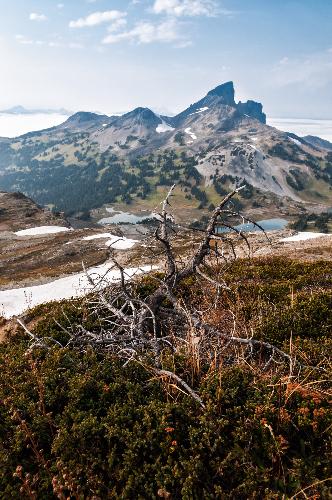Panorama Ridge