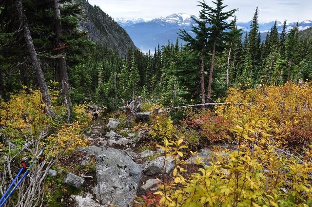 Wedgemount Lake Trail