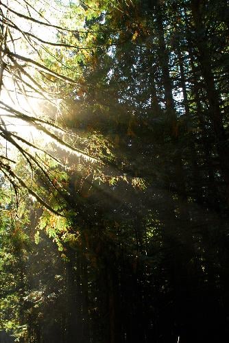 Golden Ears
