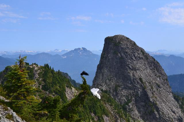 The Lions (Binkert Trail)