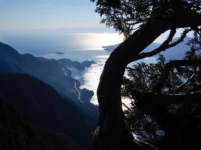 Howe Sound Crest Trail