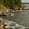 Lighthouse Park