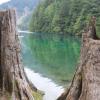 Lindeman Lake