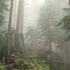 Garibaldi Lake Trail