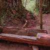 Main Trail