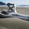 Schooner Cove trail
