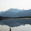 Widgeon Creek