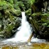 Brothers Creek Loop