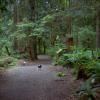 Traboulay Trail