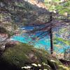 Lindeman Lake Trail