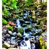 Garibaldi Lake Trail