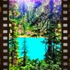 Garibaldi Lake Trail