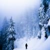 Snowshoe Grind (Grouse Grind)