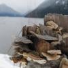 Chilliwack Lake
