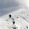 Mt. McGillivray
