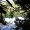 Buntzen Lake trail