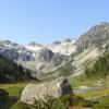 Brandywine Meadows