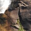 Upper Shannon Falls