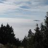 Eagle Bluffs