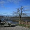 Delta dyke trail/boundary bay