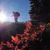 Howe Sound Crest Trail