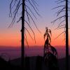 Howe Sound Crest Trail