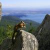 Eagle Bluffs