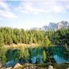 Ladyslipper Trail