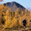 Mt Frosty - Manning Park
