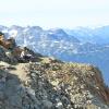 Whistler Mountain Summit Trail