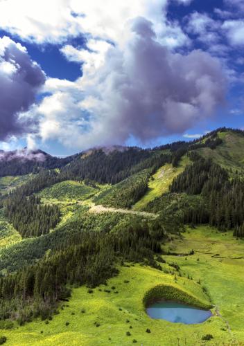 Mt. Cheam Trail