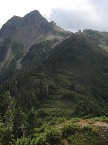 Merry Widow Trail
