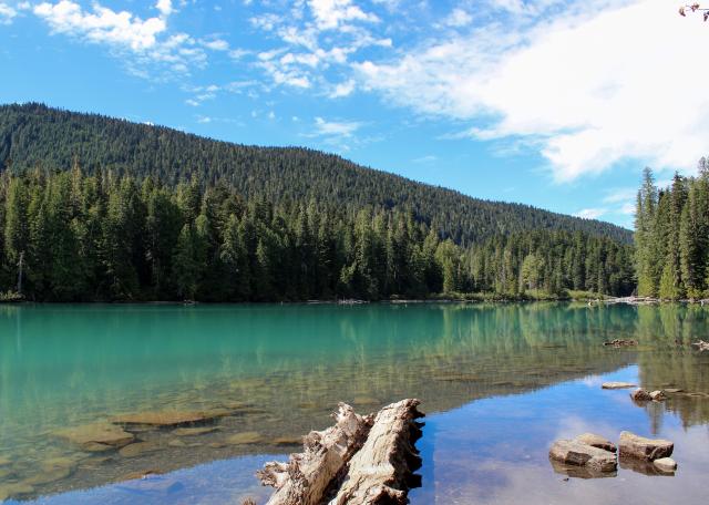 Cheakamus Lake