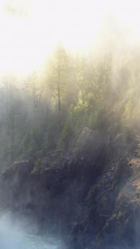 Baden Powell Capilano