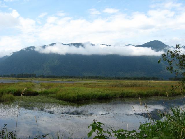 Pitt Wildlife Loop