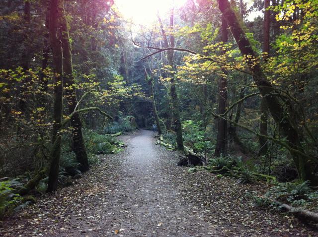 Pacific Spirit Regional Park