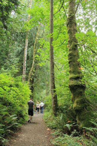 Hatchery Trail