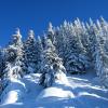 Elk Mountain(Elk-Thurston trail)