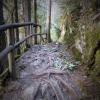 Admiralty Point trail