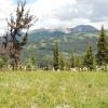 Paintbrush Trail