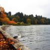 Stanley Park